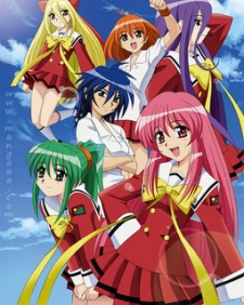 こいこい7 (2005)