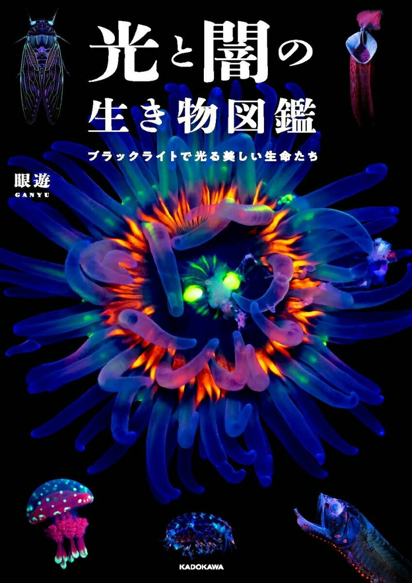 光と闇の生き物図鑑 ブラックライトで光る美しい生命たち