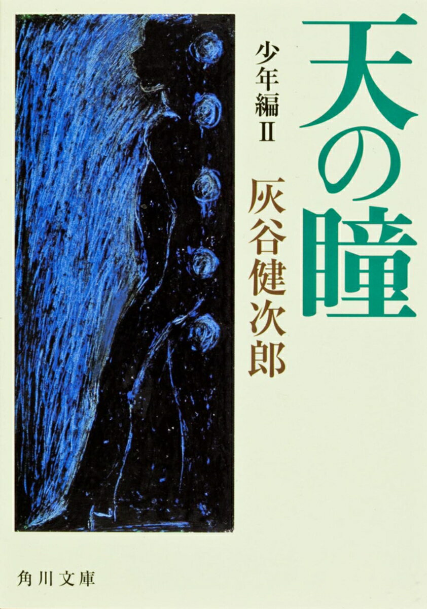 天の瞳　少年編II