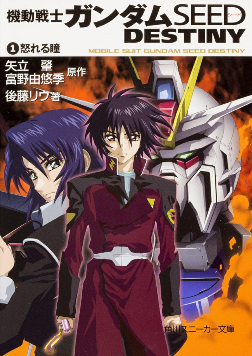 機動戦士ガンダムseed destiny（1）