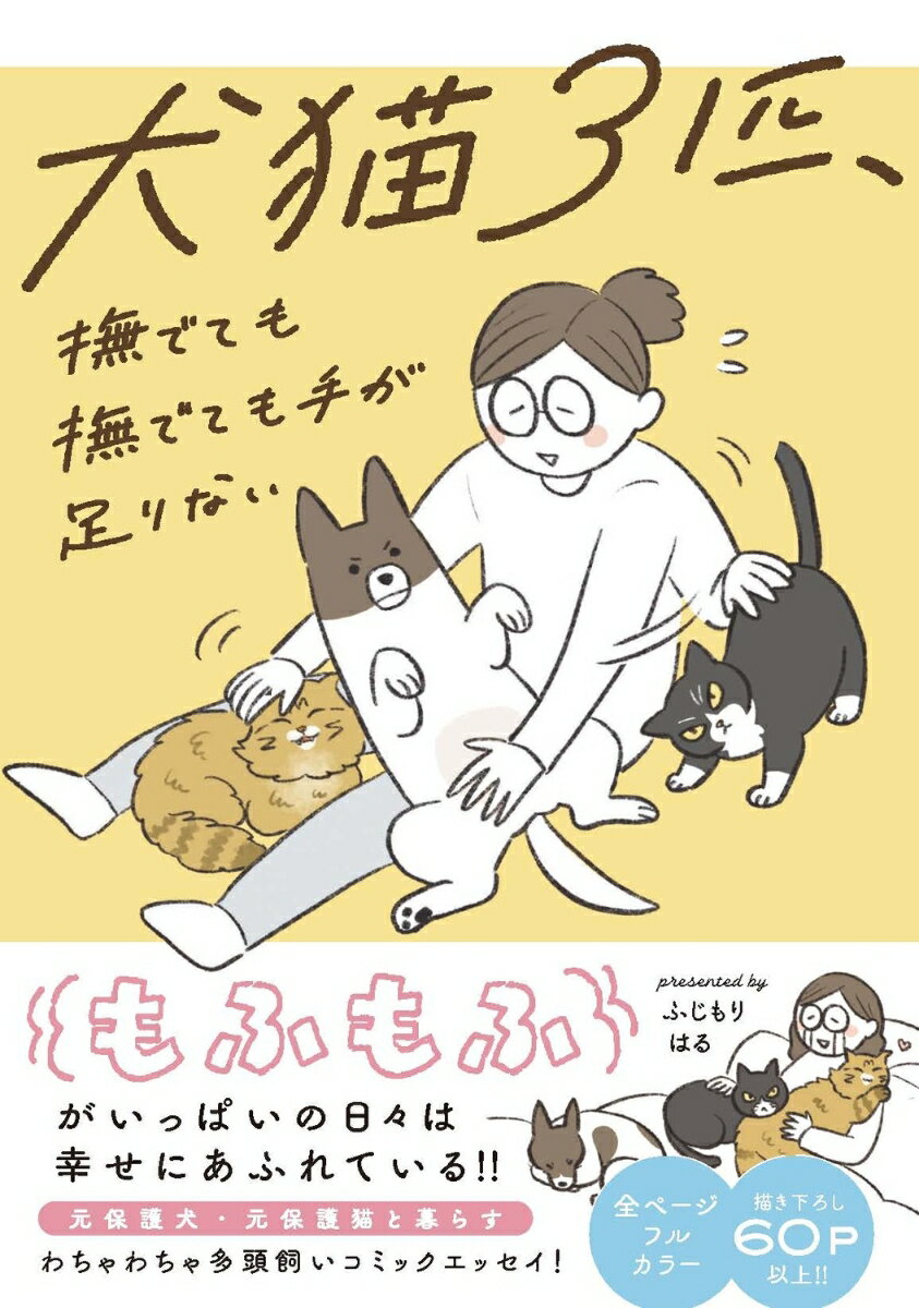 犬猫3匹、撫でても撫でても手が足りない