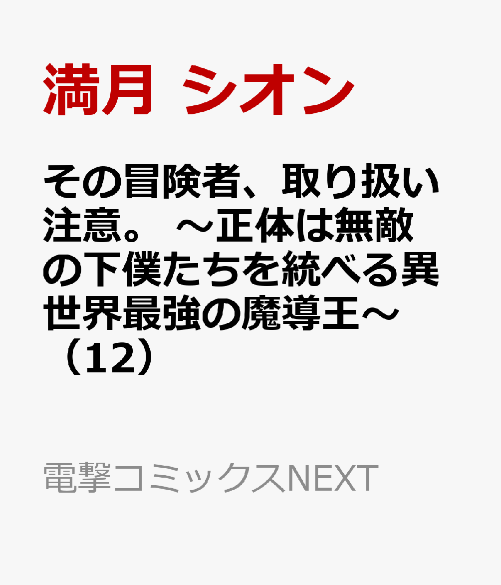 その冒険者、取り扱い注意。 〜正体は無敵の下僕たちを統べる異世界最強の魔導王〜（12）