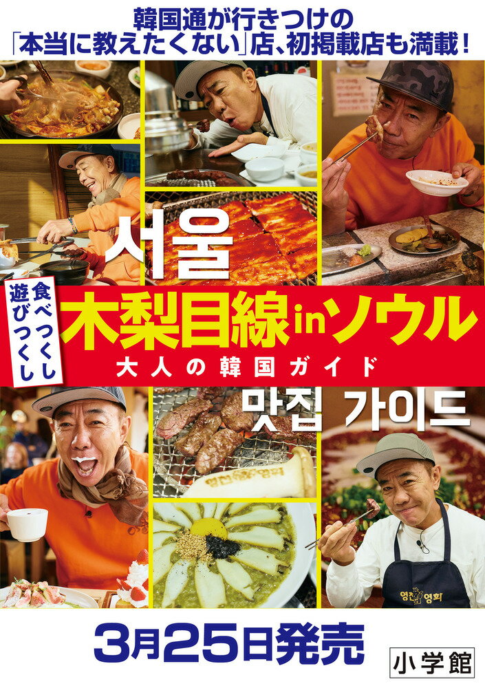 木梨目線 in ソウル 食べつくし遊びつくし 大人の韓国ガイド