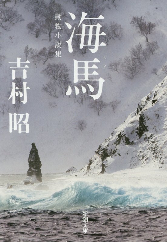 海馬改版