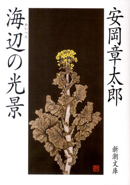 海辺（かいへん）の光景