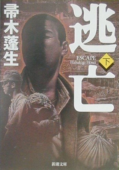 逃亡（下）