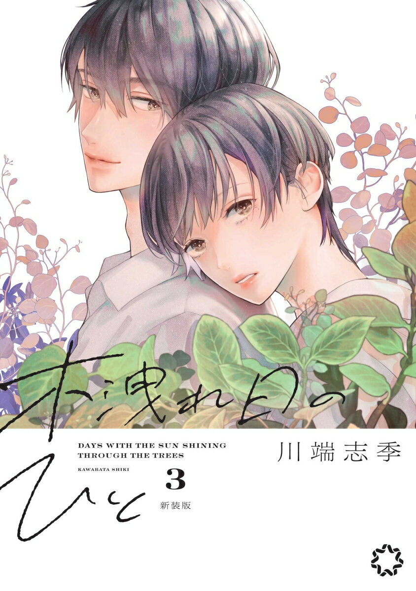 木洩れ日のひと　新装版　3