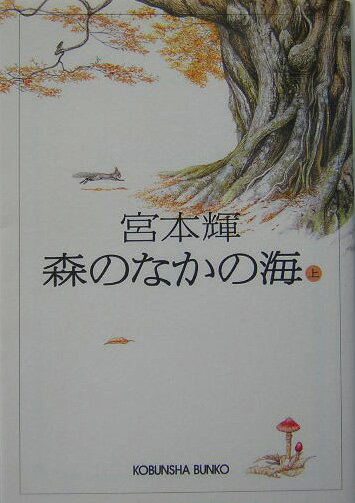 森のなかの海（上）