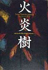 火炎樹