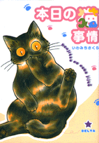 本日の猫事情