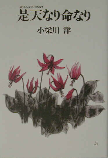 是天なり命なり