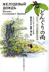 どんぐりの雨