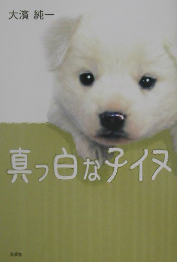 真っ白な子イヌ