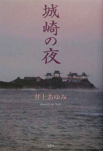 城崎の夜