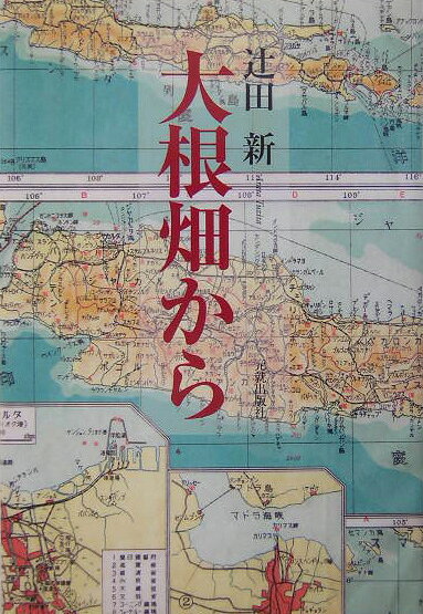 大根畑から