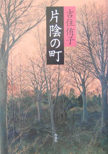 片陰の町